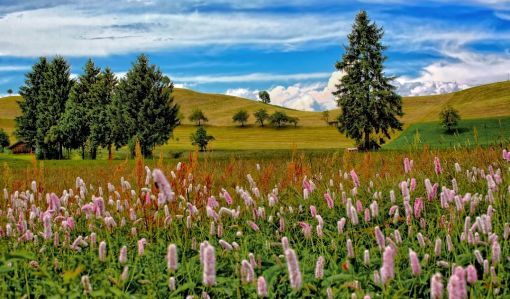 Photo Rolling hills