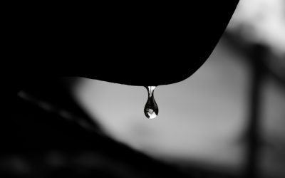 Sustainable water management (irrigation, urban use)