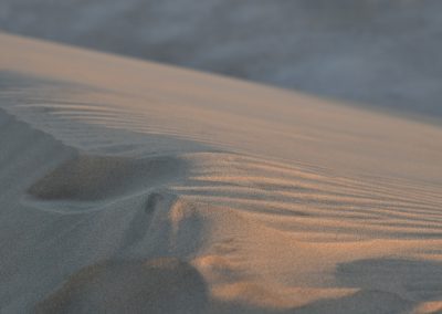 Close-up of a sand dune in Qatar with gentle ripples and soft shadows in the evening light, highlighting the texture and curves of the surface. The background is blurred and features more sand.