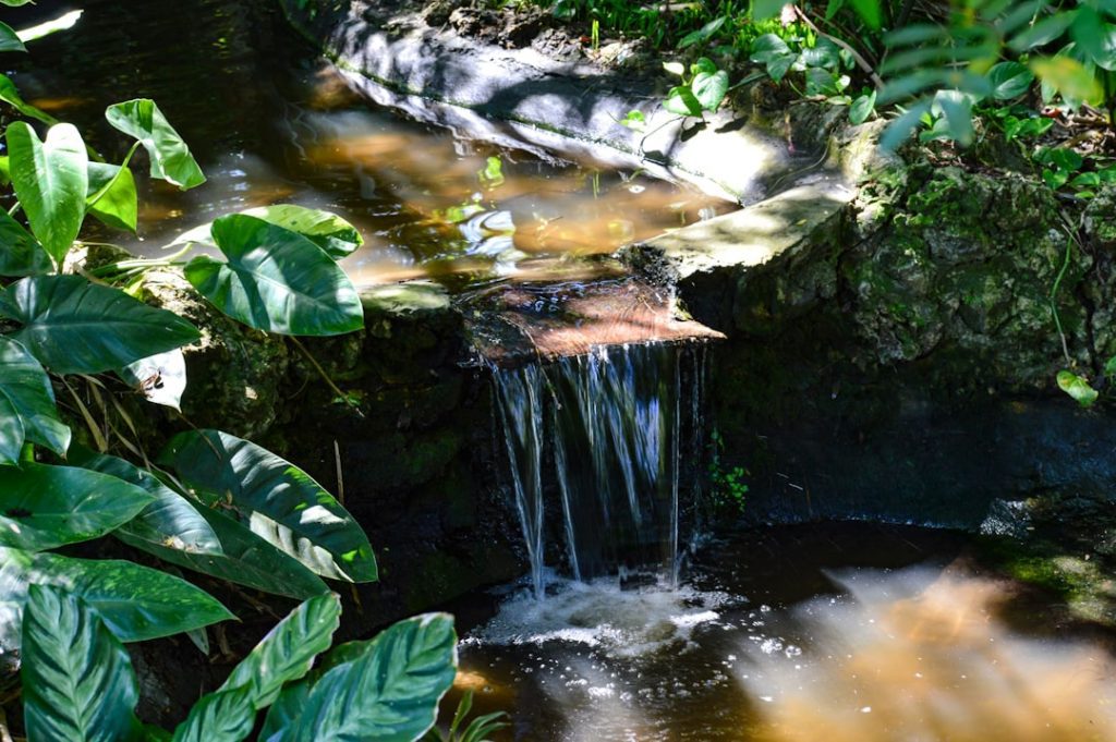 Photo Botanical Gardens