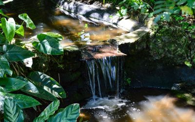 Cultural or Historical Sites of Saint Vincent and the Grenadines: Important Cultural Landmarks or Historical Sites In Saint Vincent and the Grenadines