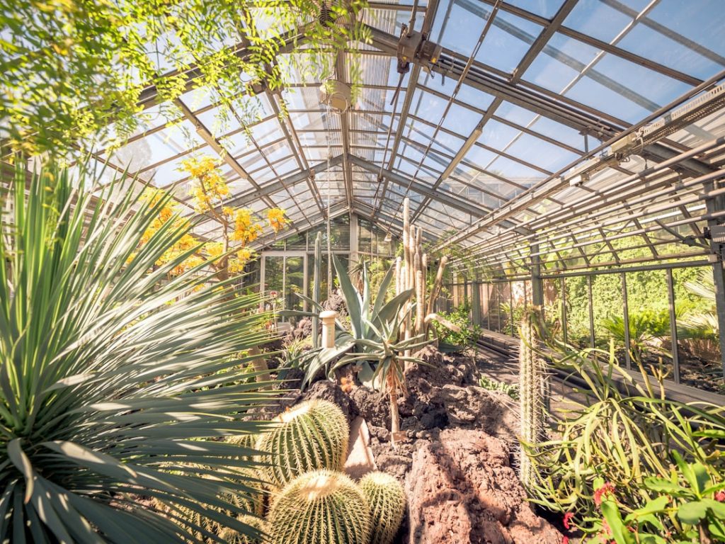 Photo Tropical Rainforest