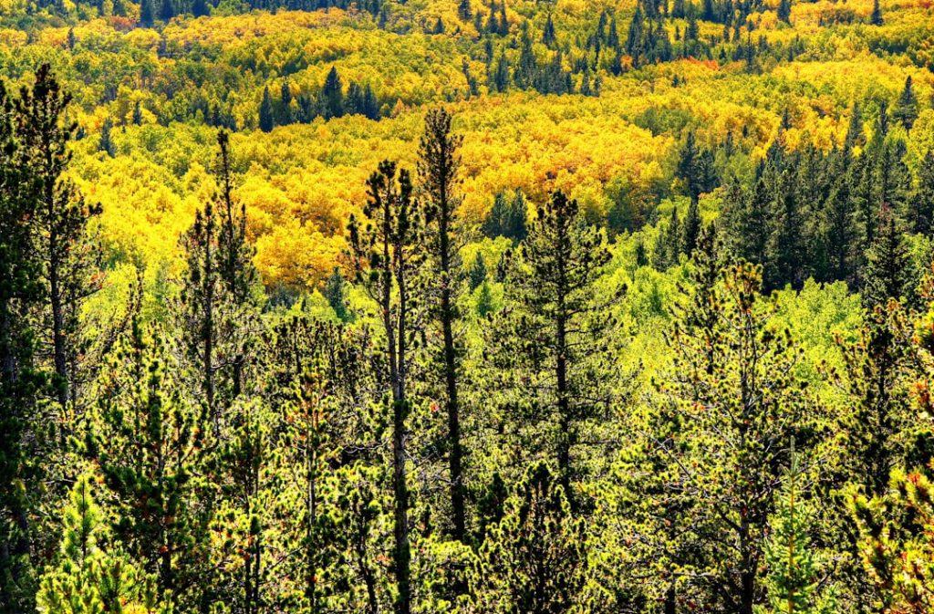 Photo Rocky mountains