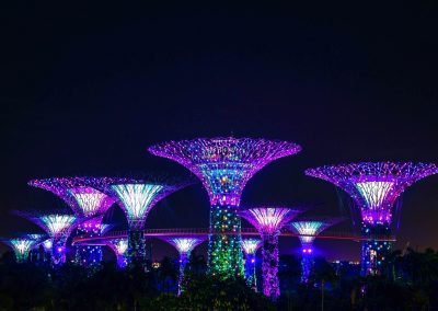 Illuminated Supertree structures at Singapore’s Gardens by the Bay glow with vibrant purple, blue, and green lights against a dark night sky, creating a futuristic and colourful Singapore landscape.