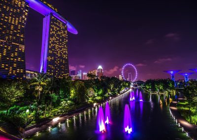 Night view of Singapore’s Marina Bay Sands and Gardens by the Bay, with purple-lit fountains, lush greenery, Supertree structures, and the brightly illuminated Singapore Flyer gracing the vibrant city skyline.