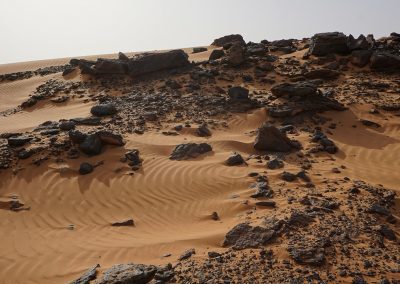 A sunlit desert sand dune with scattered dark rocks and gentle wavy patterns in the sand under a pale sky.