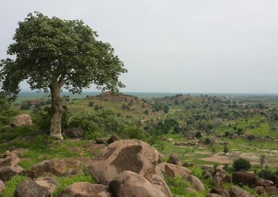 A lone tree stands among large rocks on a hillside, overlooking a vast, green landscape with scattered trees and distant hills under a pale, cloudy sky.