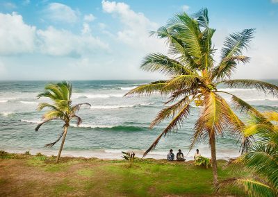 Two people sit on the grassy shore beneath palm trees in Sri Lanka, gazing out at ocean waves under a blue sky with scattered clouds.