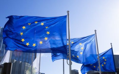 EU Enlargement: The path to membership — countries waiting in line (like Ukraine, Moldova, and the Western Balkans) and the political hurdles they face.