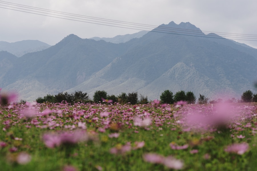 Photo The Flora and Fauna of Afghanistan