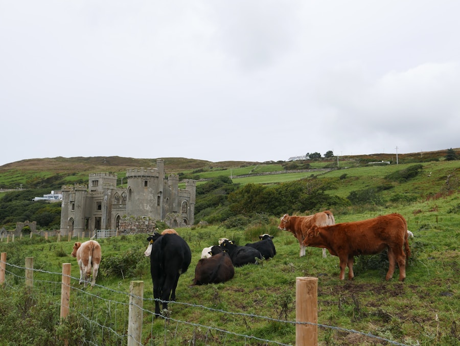 Photo The Flora and Fauna of Ireland