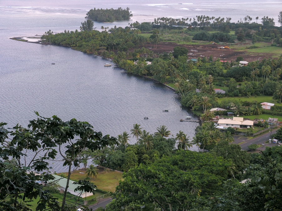 Photo The Flora and Fauna of Comoros
