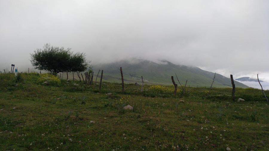 Photo The Flora and Fauna of Armenia