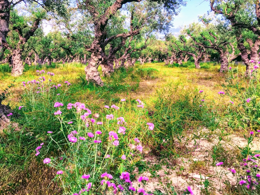 Photo The Flora and Fauna of Israel