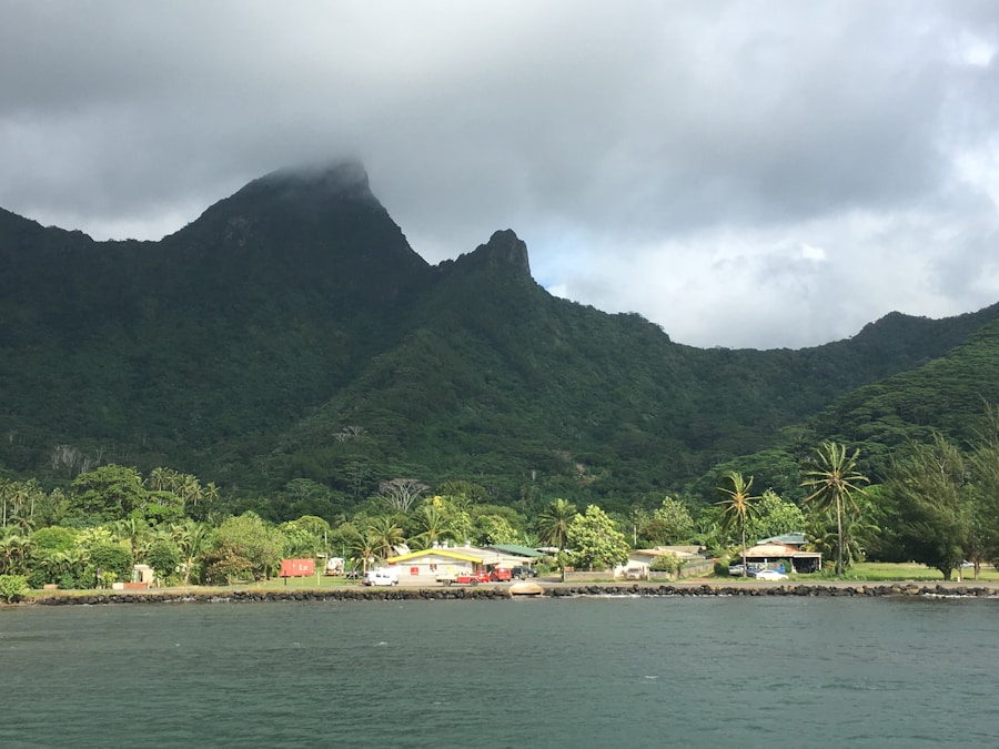 Photo The Flora and Fauna of American Samoa