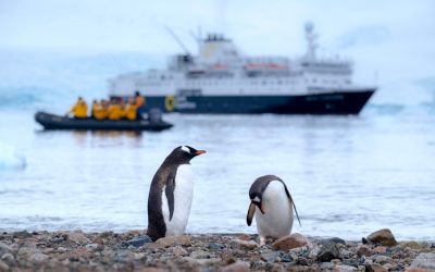Exploring the Flora and Fauna of Antarctica