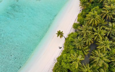 Discovering the Rich Biodiversity of the Maldives