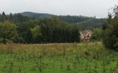 Exploring the Rich Flora and Fauna of Slovakia