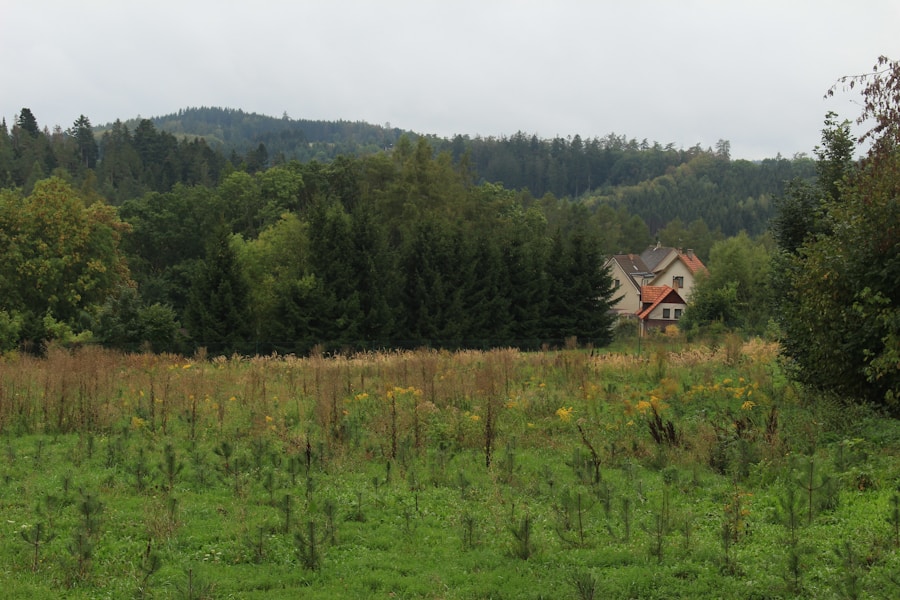 Photo The Flora and Fauna of Slovakia