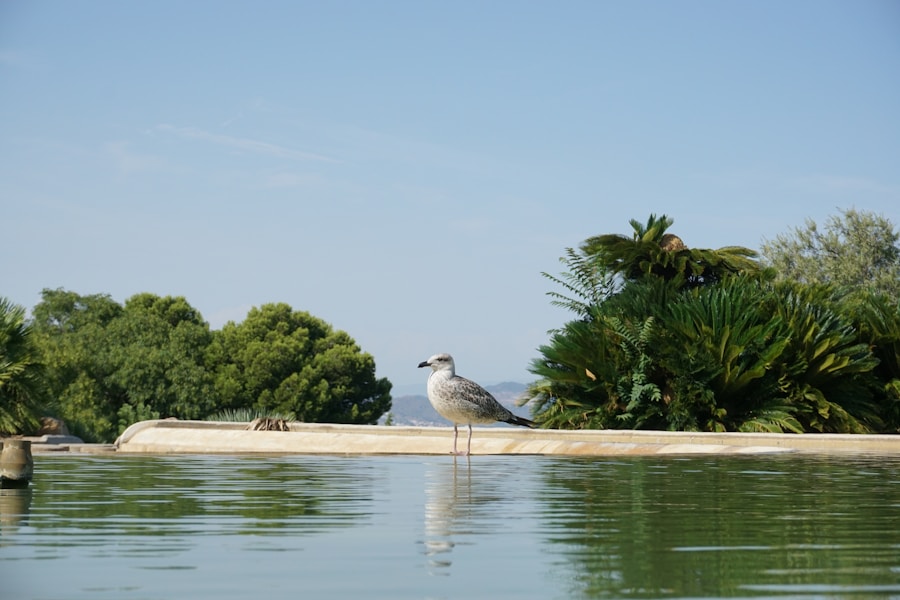 Photo The Flora and Fauna of French Southern Territories