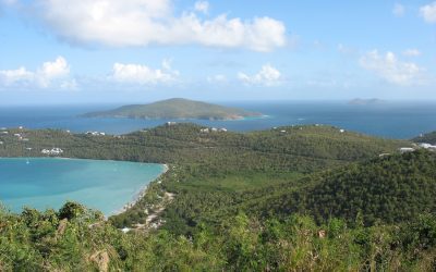 Exploring the Rich Flora and Fauna of Antigua and Barbuda