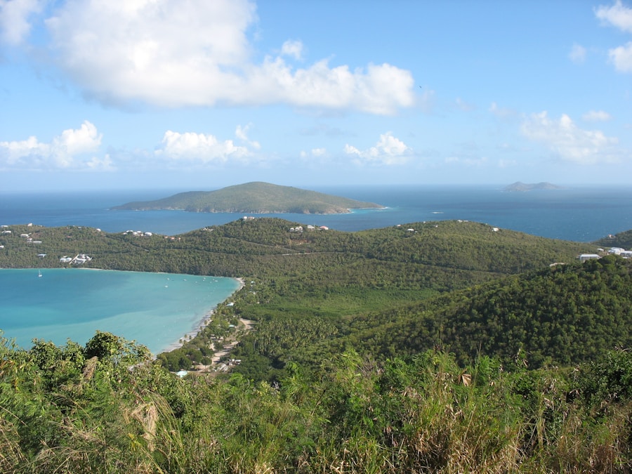 Photo The Flora and Fauna of Antigua and Barbuda