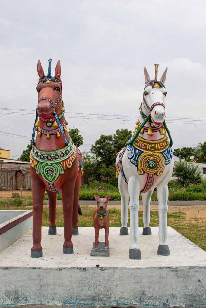 Photo The Flora and Fauna of Benin