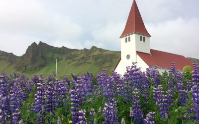 Exploring the Flora and Fauna of Iceland