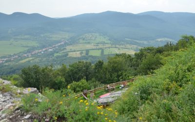 Discovering Bulgaria’s Rich Flora and Fauna