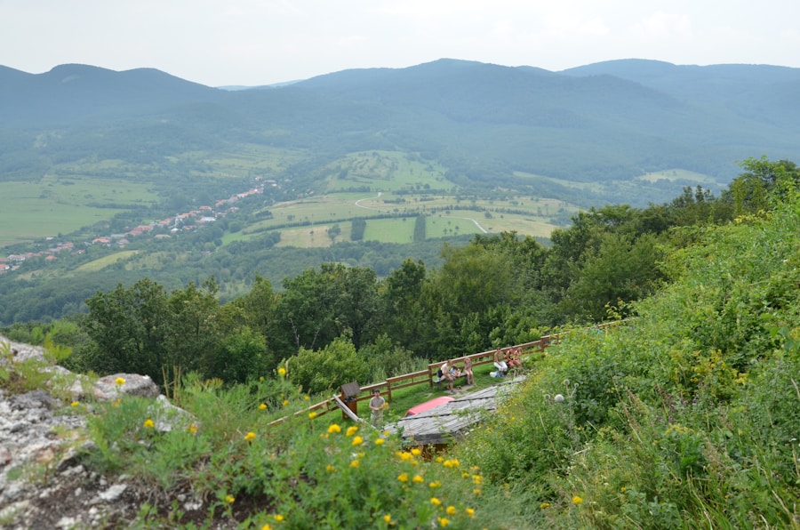 Photo The Flora and Fauna of Bulgaria