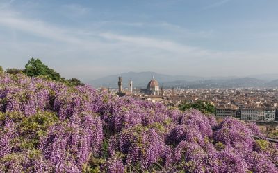 Exploring Italy’s Rich Flora and Fauna