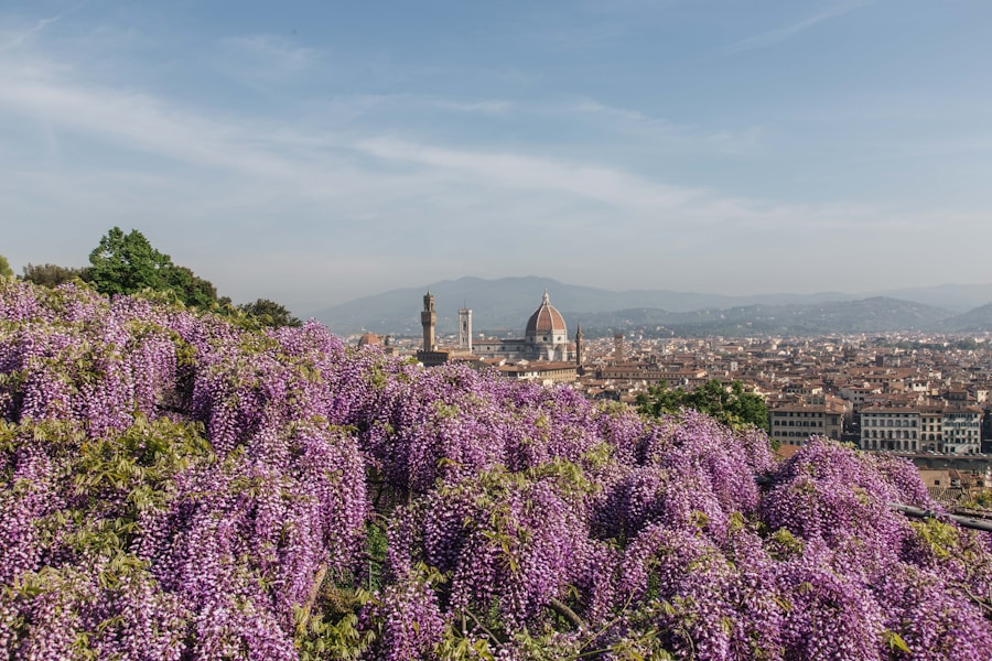 Photo The Flora and Fauna of Italy