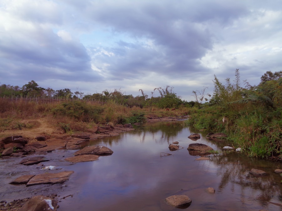 Photo The Flora and Fauna of Eswatini