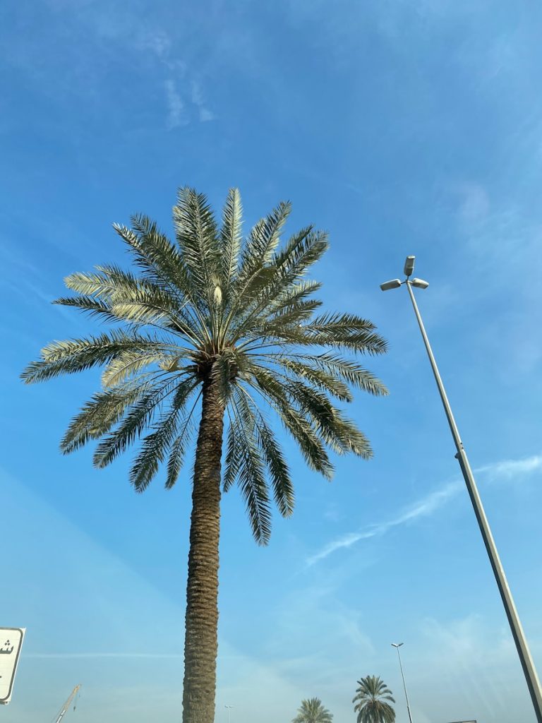 Photo The Flora and Fauna of Bahrain