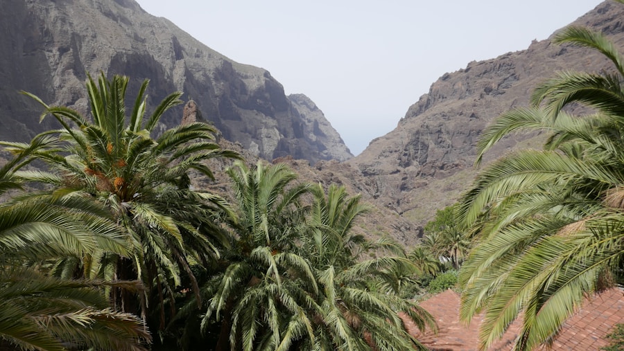 Photo The Flora and Fauna of Cape Verde