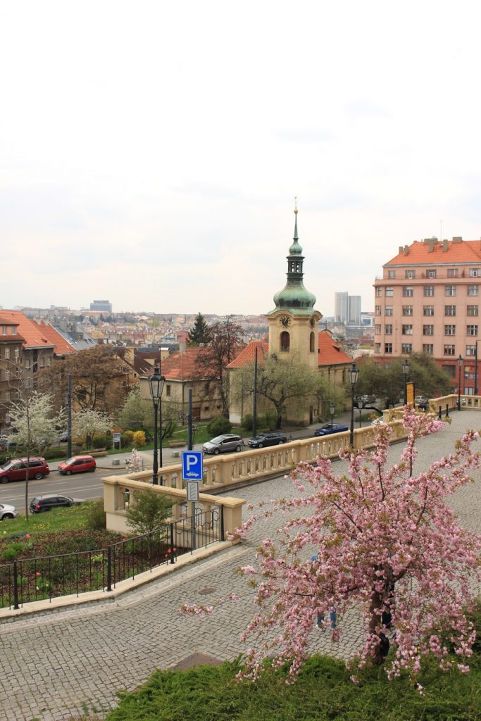 Photo The Flora and Fauna of Hungary