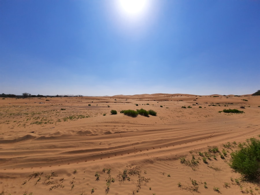 Photo "Climate Zones of Turkmenistan: Different climate regions Of Turkmenistan"