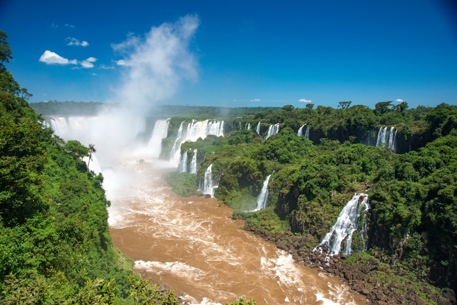 Photo The Flora and Fauna of Paraguay