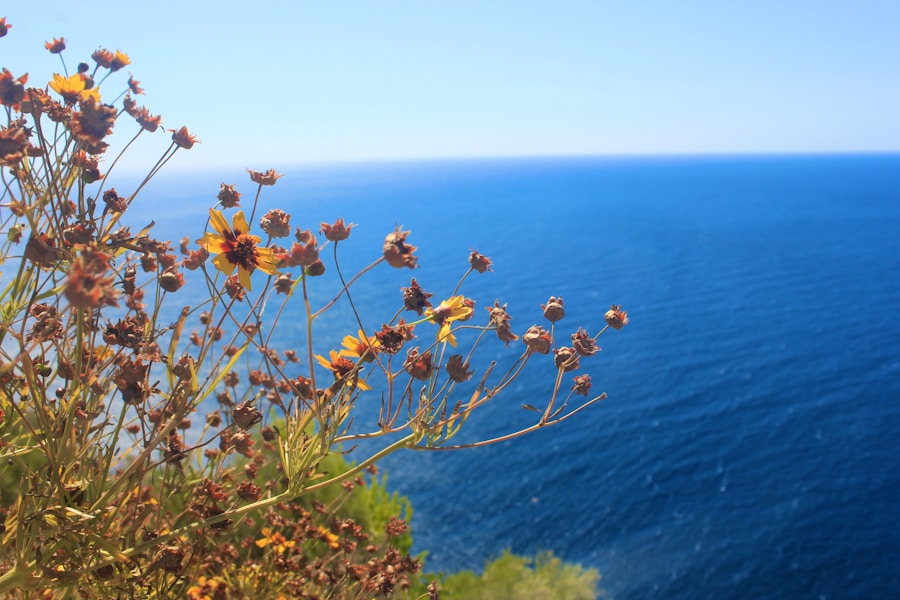 Photo The Flora and Fauna of Greece