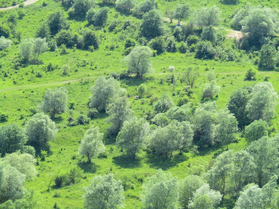 Photo The Flora and Fauna of Moldova