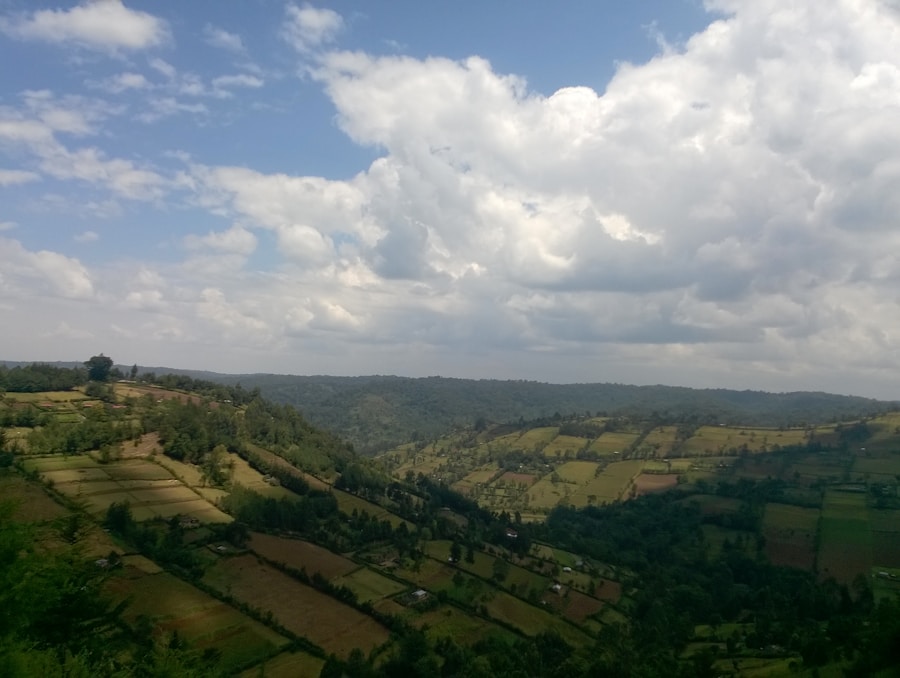 Photo The Flora and Fauna of Rwanda