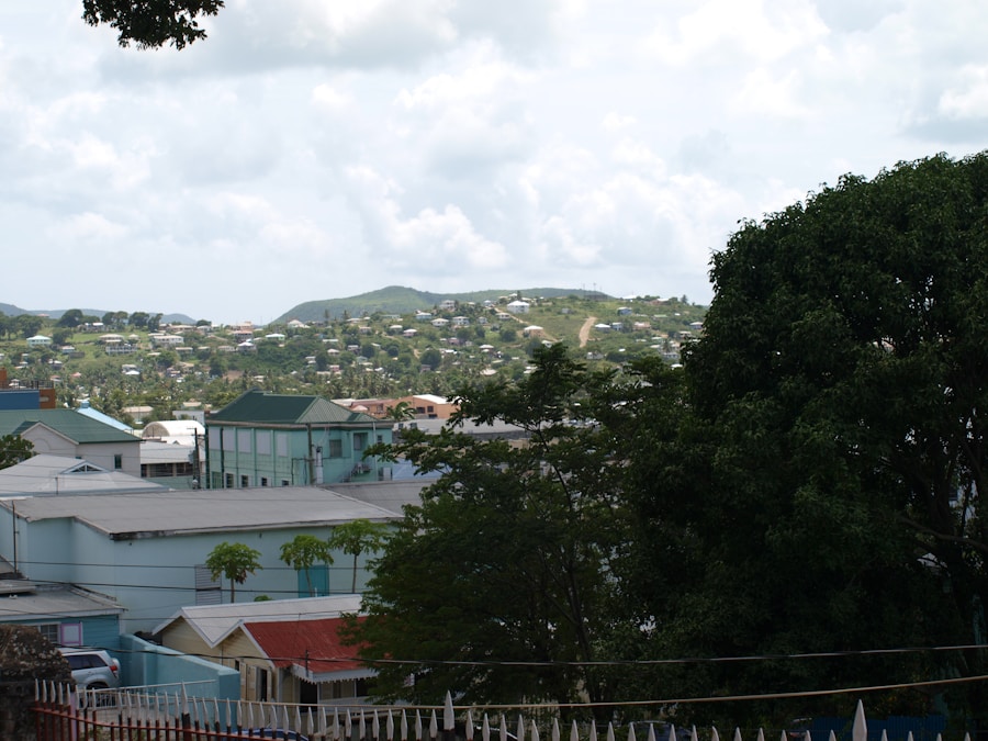 Photo The Flora and Fauna of Grenada