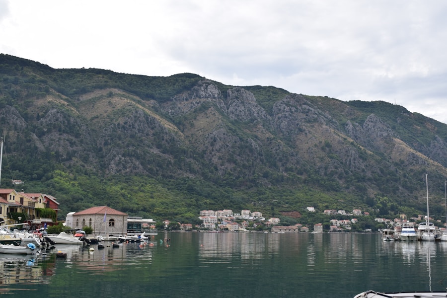 Photo The Flora and Fauna of Montenegro