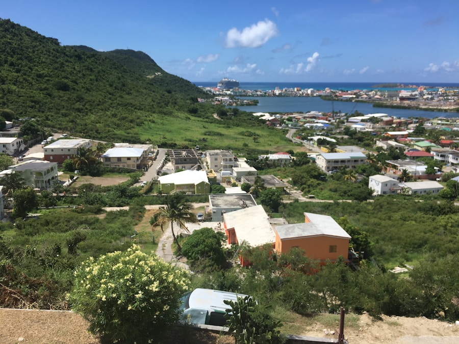 Photo The Flora and Fauna of Saint Martin