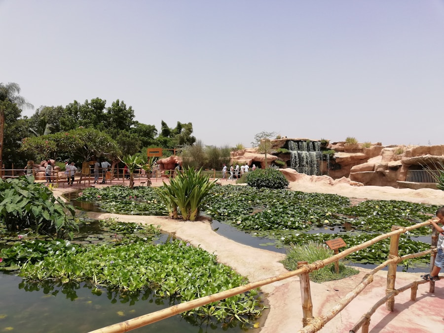 Photo The Flora and Fauna of Sudan