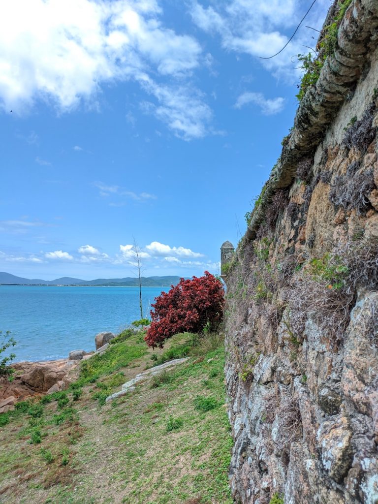 Photo The Flora and Fauna of Bermuda