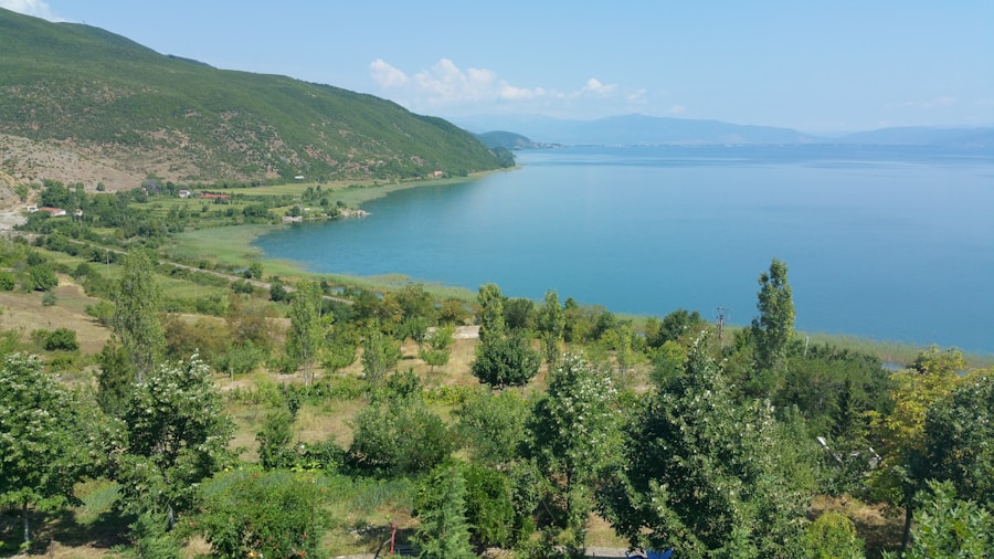 Photo The Flora and Fauna of North Macedonia