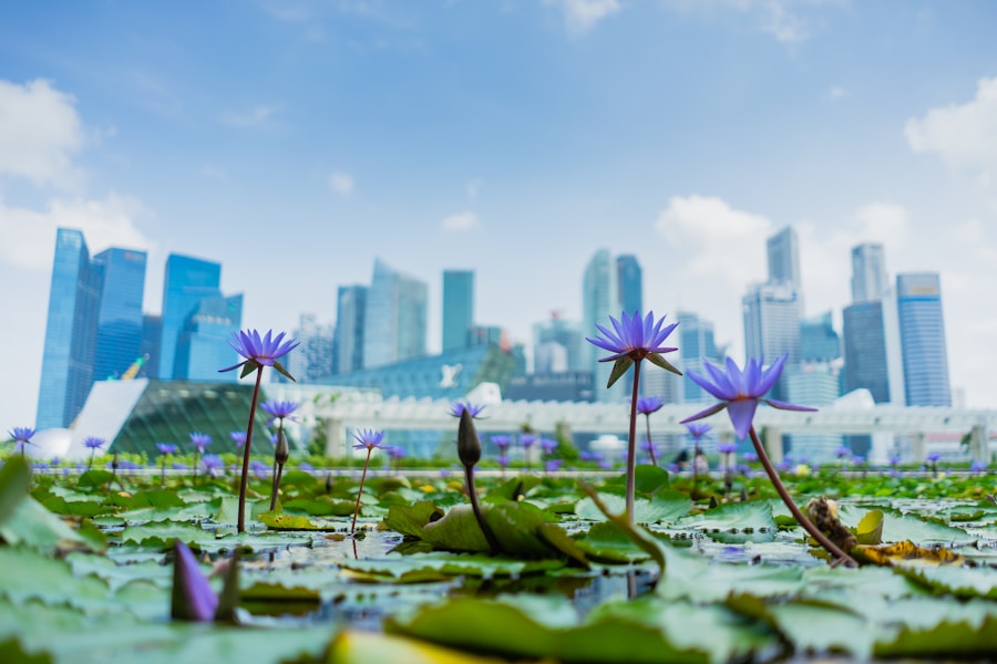 Photo The Flora and Fauna of Singapore