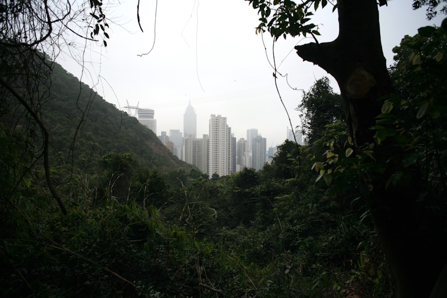 Photo The Flora and Fauna of Hong Kong