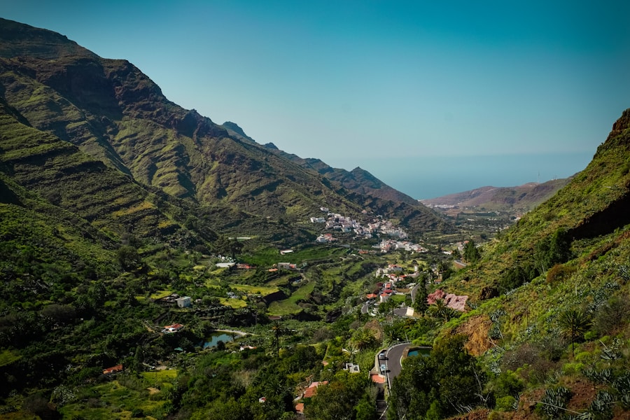 Photo The Flora and Fauna of Saint Helena